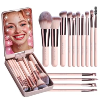BS-Mall 14-Piece Makeup Brush Set with LED Light Mirror
