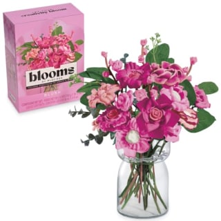 Blooms by Play-Doh Blush Bouquet Kit