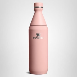 Stanley All Day Slim Bottle 