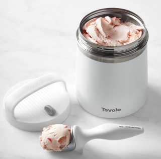 Tovolo Stainless-Steel Ice Cream Storage Container & Williams Sonoma Tilt Up Scoop