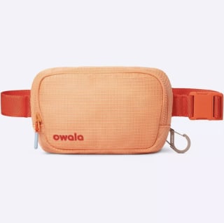Owala 1L Crossbody The Daily Messenger Bag