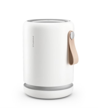 Molekule Air Mini+