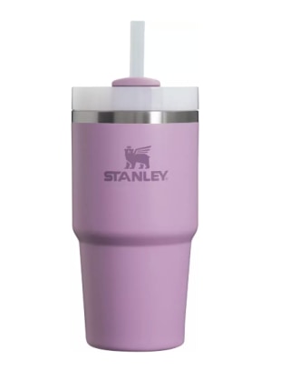 Stanley Quencher H2.0 FlowState Tumbler