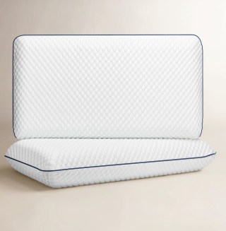 Sleep by Wayfair Memory Foam Pillow