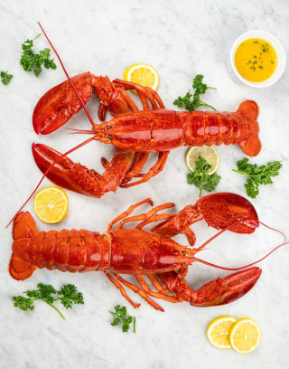Lobsterboys