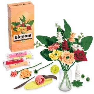 Blooms by Play-Doh Rosy Petite Flower Kit