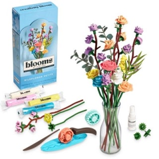 Blooms by Play-Doh Wildflower Petite Flower Kit