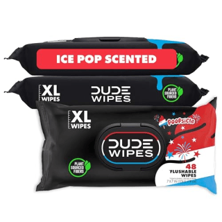 Dude Wipes Flushable Wipes in Poopsicle