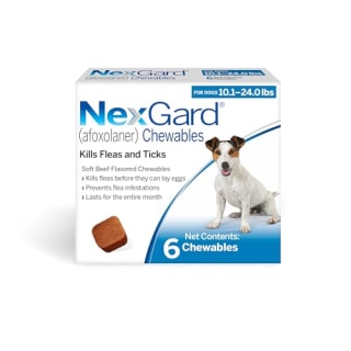 NexGard Chewables Flea and Tick Protection