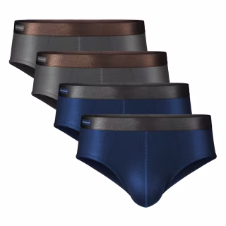 David Archy Men's Bamboo Briefs - 4 Pack