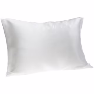 Spasilk 100% Pure Silk Pillowcase for Facial Beauty and Hair Health