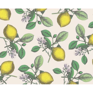 Emily McCarthy Lemon Placemats