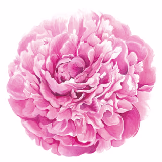Emily McCarthy Die Cut Peony Placement