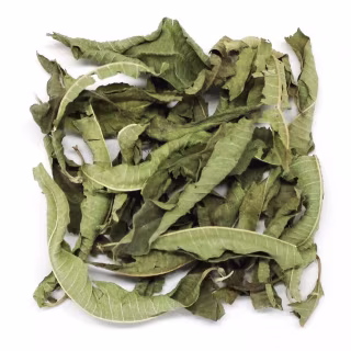 Lemon Verbena