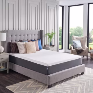 Sealy 12-Inch Queen Hybrid Bed in a Box