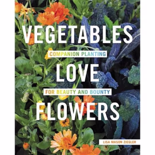 Vegetables Love Flowers