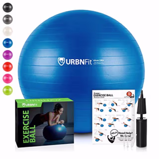 URBNFit Exercise Ball (65 cm) for Stability &amp; Yoga - Workout Guide Incuded - Professional Quality (Blue)