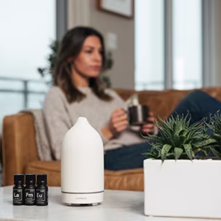 Stone Diffuser