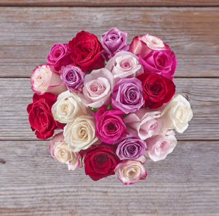 Valentine's Day Roses