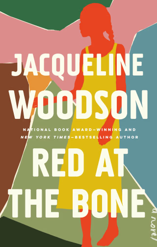 Red at the Bone : A Novel
