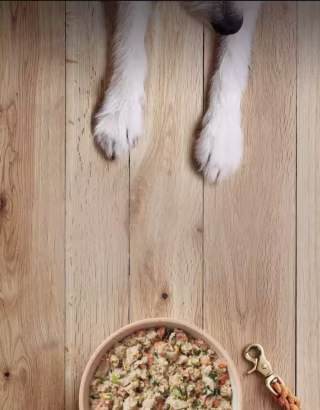 The Farmer's Dog