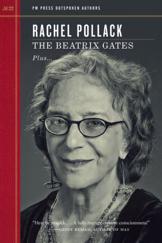More About The Beatrix Gates by Rachel Pollack