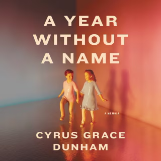 A Year Without a Name : A Memoir
