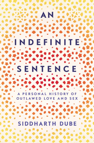 More About An Indefinite Sentence by Siddharth Dube
