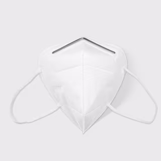 Public Goods K95 Face Masks - 10 Pack