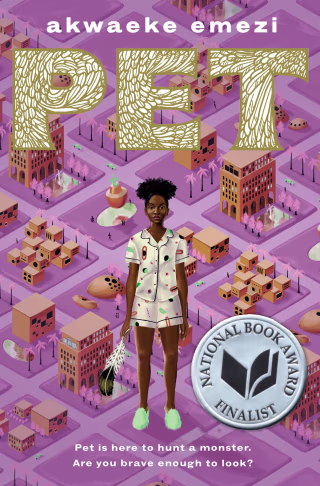 More About Pet by Akwaeke Emezi