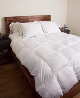 Pillow Guy White Goose Down Comforter