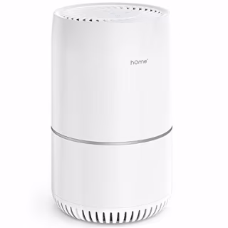 HomeLabs True HEPA H13 Filter Air Purifier