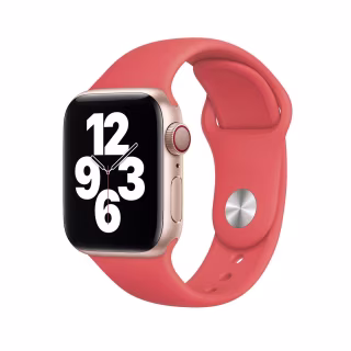 Apple Watch Regular Sport Band