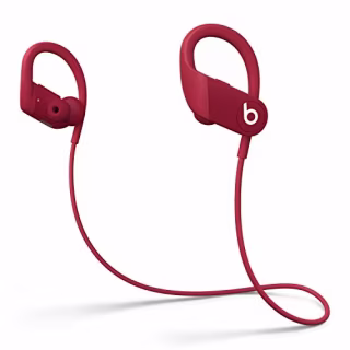 Powerbeats Earphones