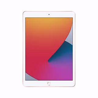 Apple 10.2-inch iPad (8th Gen)