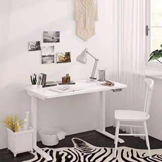Flexispot Electric Height Adjustable Standing Desk Quick Installation with Memory Controller Sit Stand Desk 48 x 24 Inches Whole-Piece Desk Board(White Frame + 48" White Top)