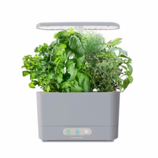 AeroGarden Harvest with Gourmet Herb Seed Pod Kit