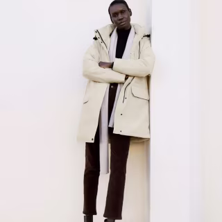 Everlane Re:Down Military Parka