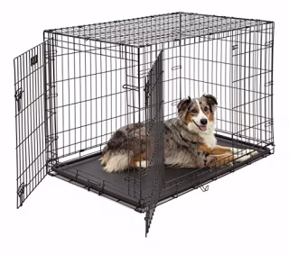 Midwest Large Double Door iCrate. Best dog crates in 2021.