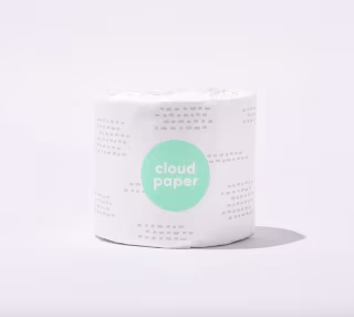 Cloud Paper-free Toilet Paper. Best sustainable bathroom products in 2021.