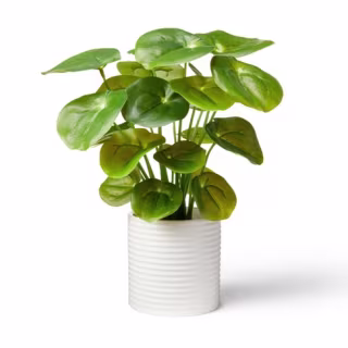 Hilton Carter for Target Artificial Pilea Plant