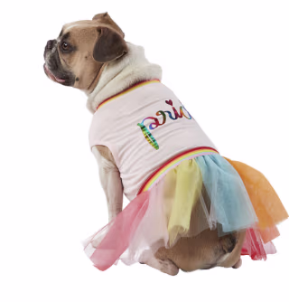 Petsmart Pride Pink "Pride" Pet Dress