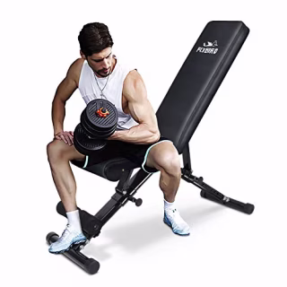 FLYBIRD Weight Bench