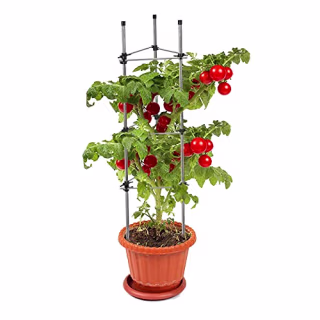 Fly Hawk Stainless Steel Heavy Duty Adjustable Garden Tomato Cage