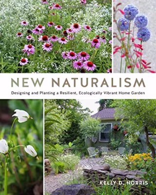 New Naturalism