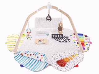 Lovevery The Play Gym