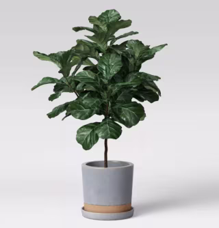Smith & Hawken Earthenware Planter