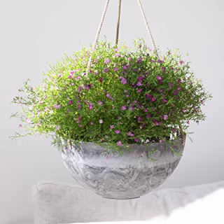 La Jolie Muse Hanging Planters