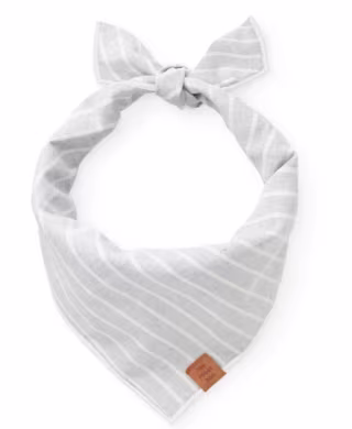 The Foggy Dog Bandana