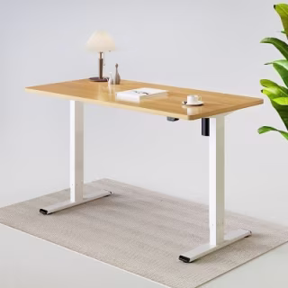 FlexiSpot Seiffen Laminated Standing Desk (Eco & Pro)